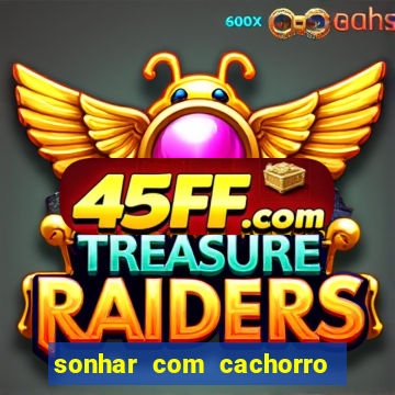 sonhar com cachorro morto jogo do bicho